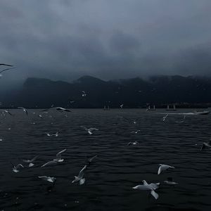 武藤兰最值得看的6部剧
