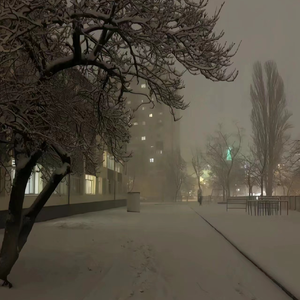 武藤兰最值得看的6部剧
